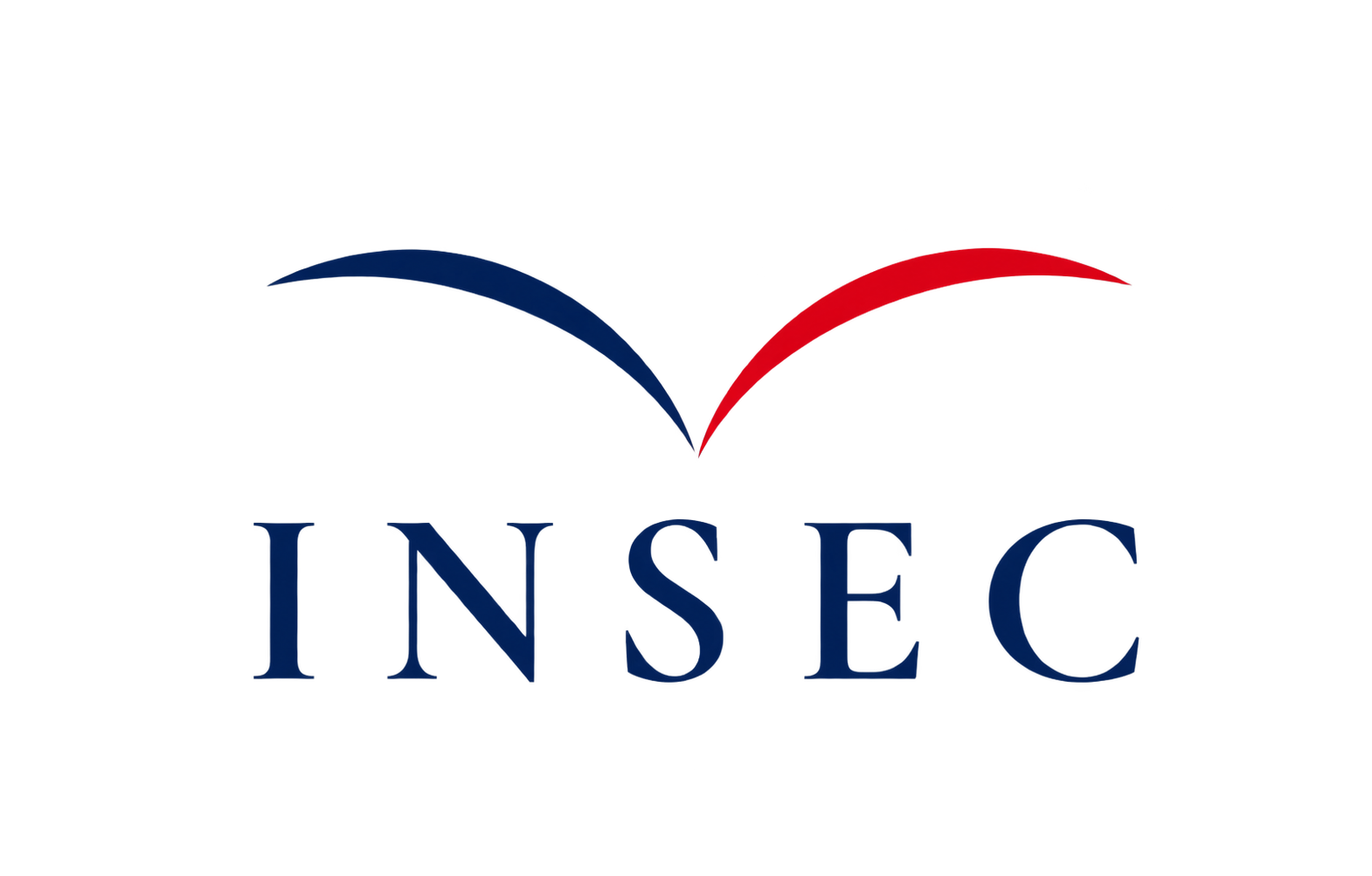 Logo INSEC